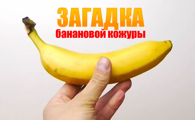 Виявляється бананову шкірку можна використовувати і методів використання безліч