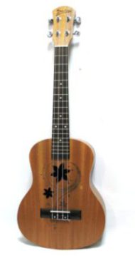 Серед всіх існуючих незвичайних музичних інструментів особливу увагу варто приділити гавайської гітарі - укулеле